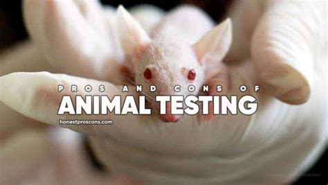 the impact of animal testing on the environment|disadvantages of animal testing.